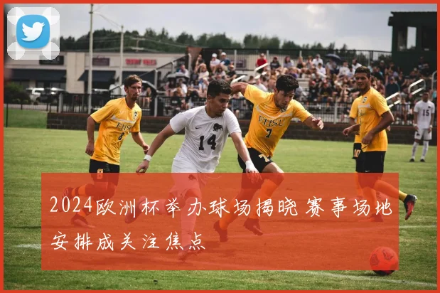 2024欧洲杯举办球场揭晓 赛事场地安排成关注焦点