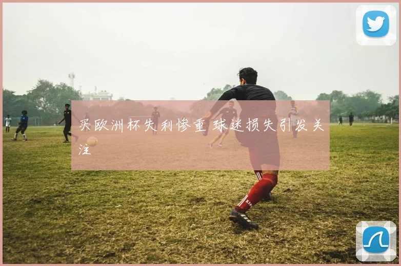 买欧洲杯失利惨重 球迷损失引发关注